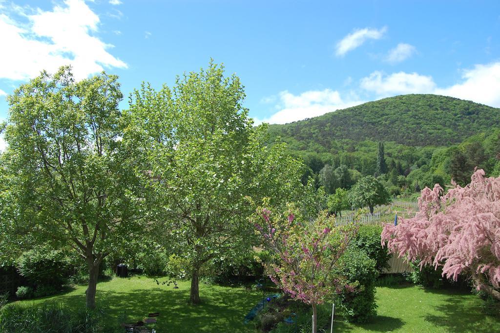 Landgasthof Jaegerstuebchen Neustadt an der Weinstraße Esterno foto